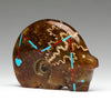 Amazing Ammolite Medicine Bear