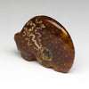 Amazing Ammolite Medicine Bear