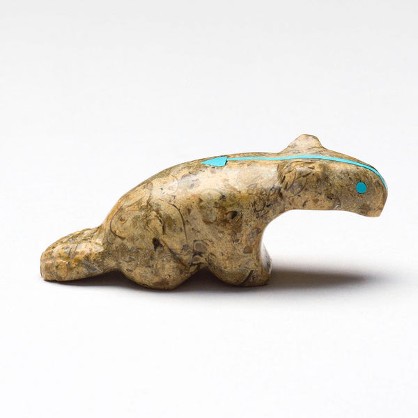 Water Steward Beaver