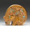 Fossilized Sand Dollar Medicine Bear