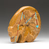 Fossilized Sand Dollar Medicine Bear