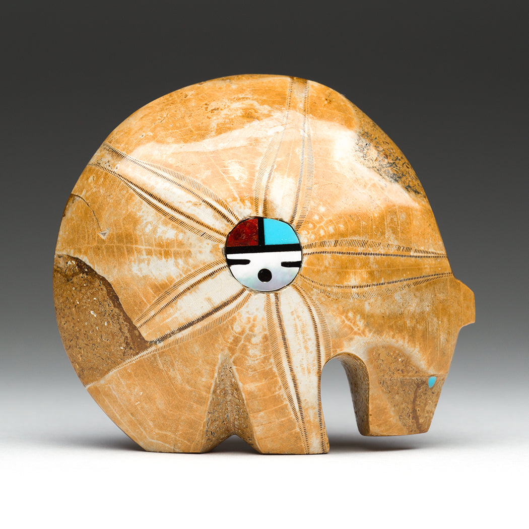 Fossilized Sand Dollar Medicine Bear
