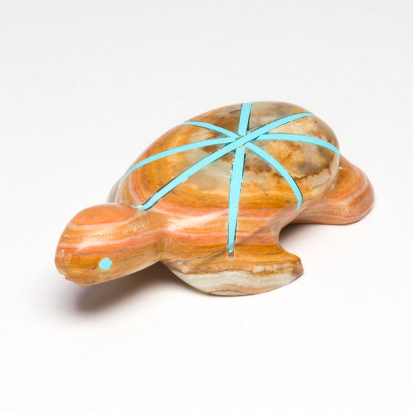 Monsoon Turtle