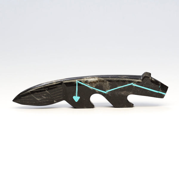 Orthoceras Wild Canine