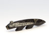 Orthoceras Wild Canine