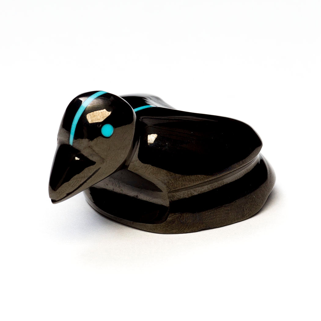 Creative Thinker Raven