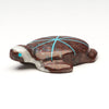 Striking Beauty Sea Turtle