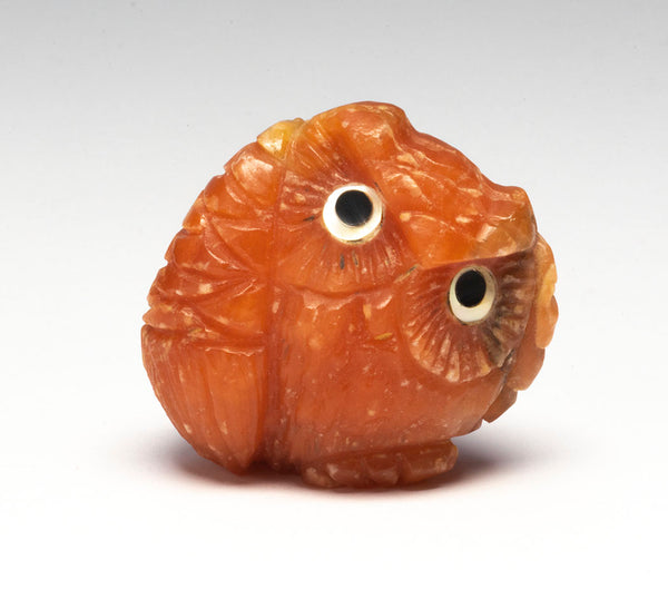 Orange Owlet