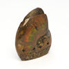 Opalized Ammolite Corn Maiden