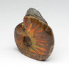 Ammolite Corn Maiden With Sunface