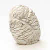 Haunting Hooting Howlite Owl