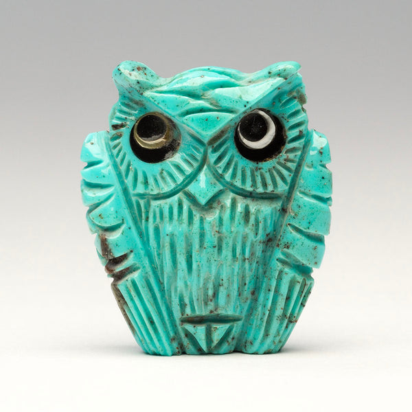 Nacozari Turquoise Owlet