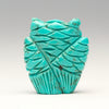 Nacozari Turquoise Owlet