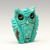 Nacozari Turquoise Owlet