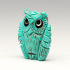 Nacozari Turquoise Owlet