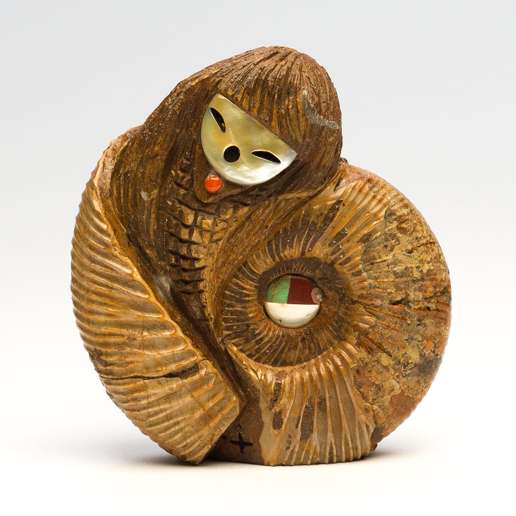 Ammonite Corn Maiden & Sunface