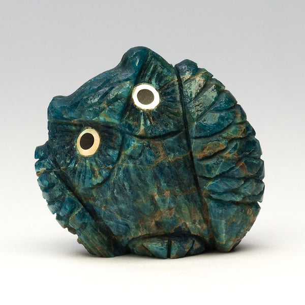 Radiant Owl