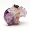 Rainbow Flashes Bear
