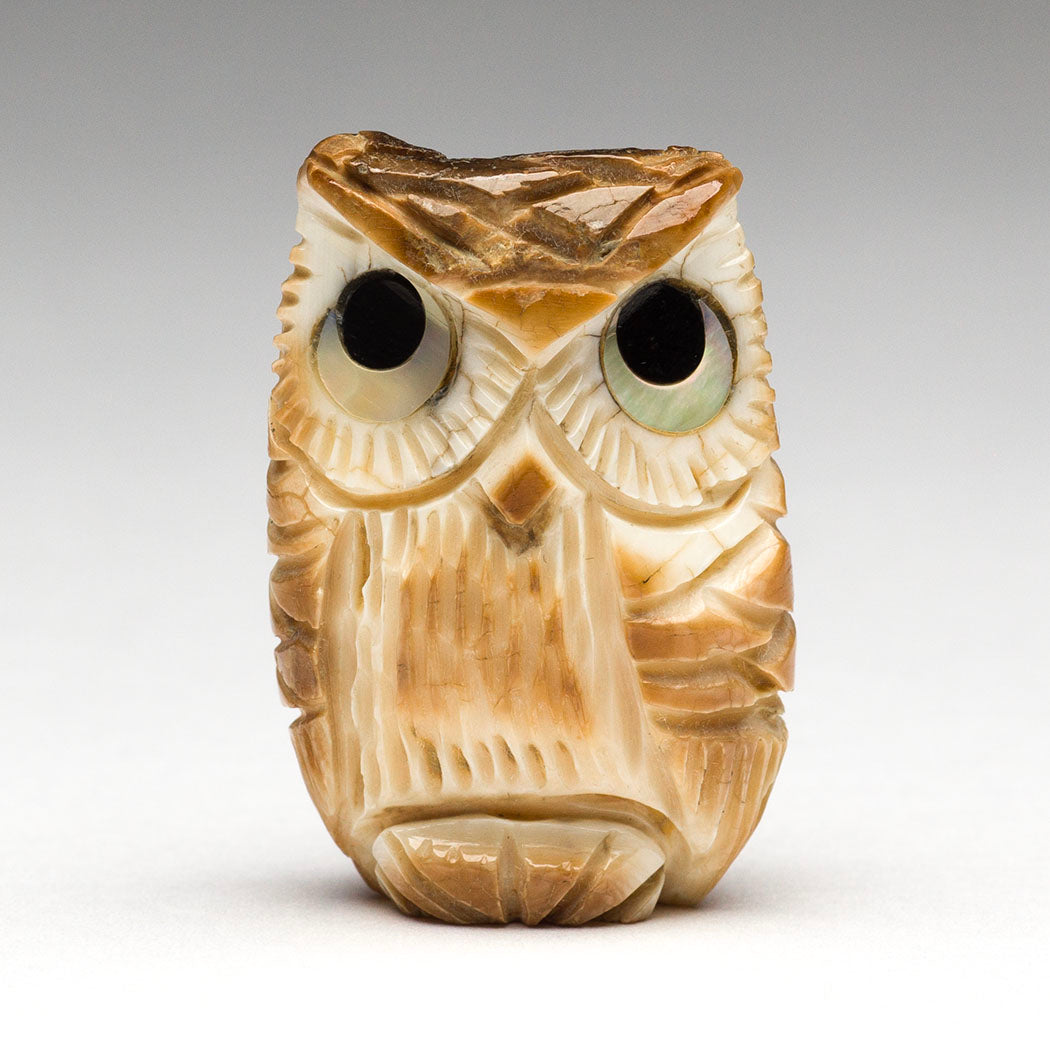 Blinking Baby Owlet