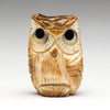 Blinking Baby Owlet