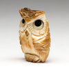 Blinking Baby Owlet