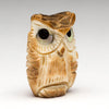 Blinking Baby Owlet