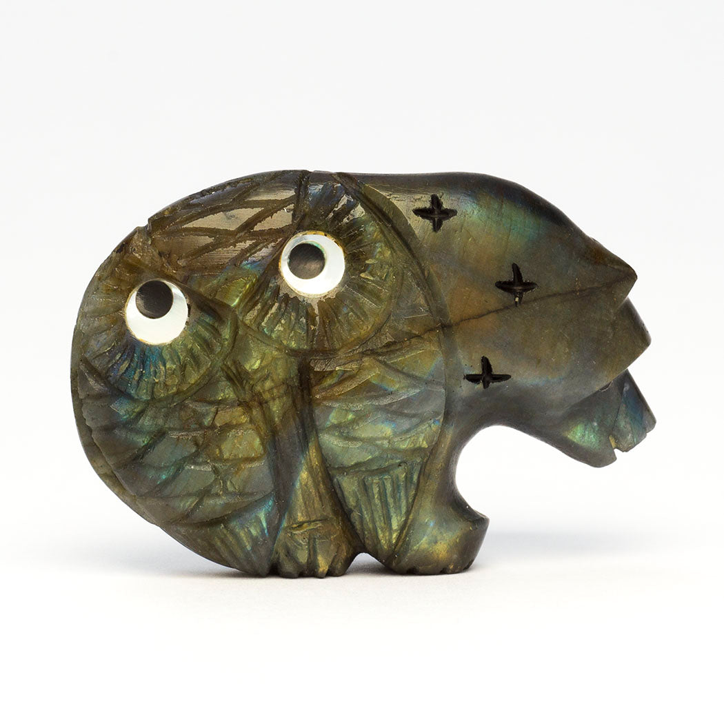 Harmonious Bear & Owl