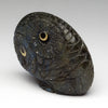 Belonging To The Night Owl