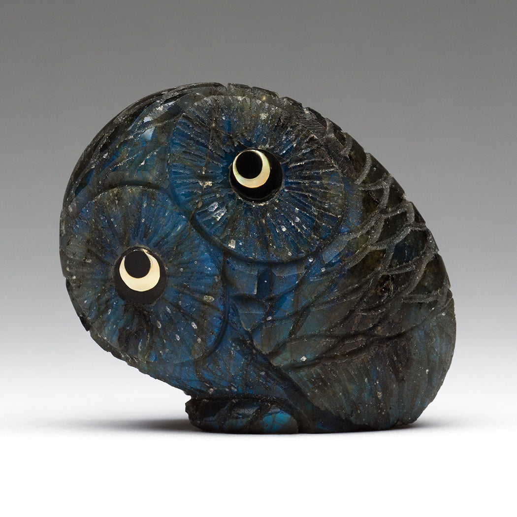 Belonging To The Night Owl