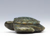 Wisdom Of The Tides Sea Turtle