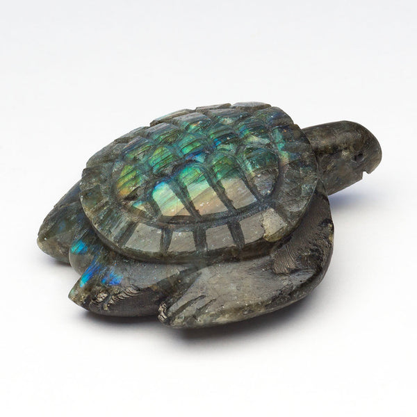 Wisdom Of The Tides Sea Turtle