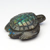 Wisdom Of The Tides Sea Turtle