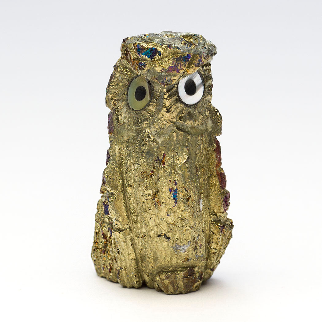 Spooky Sounds Owlet
