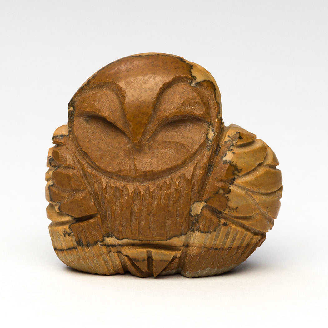 Hidden Owlet
