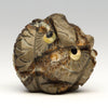 Zuni Forest Owlet