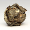 Zuni Forest Owlet