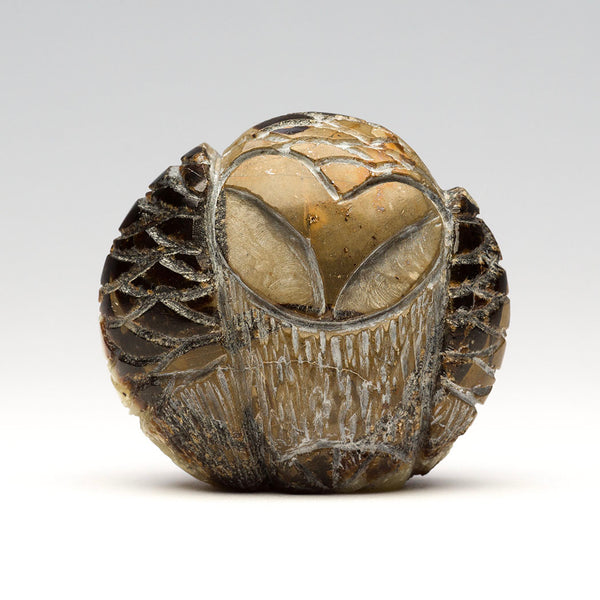 Dreamy Sleep Owlet