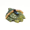 Charming Sea Turtle