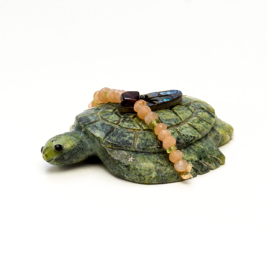 Charming Sea Turtle