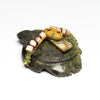 Sea Turtle Traveler