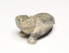 Shy Baby Armadillo
