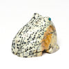 Spotted Frog
