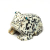 Spotted Frog