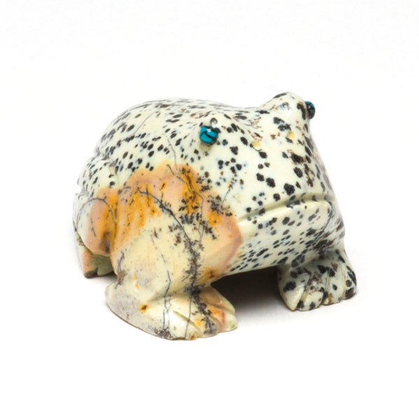 Spotted Frog