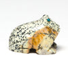 Spotted Frog