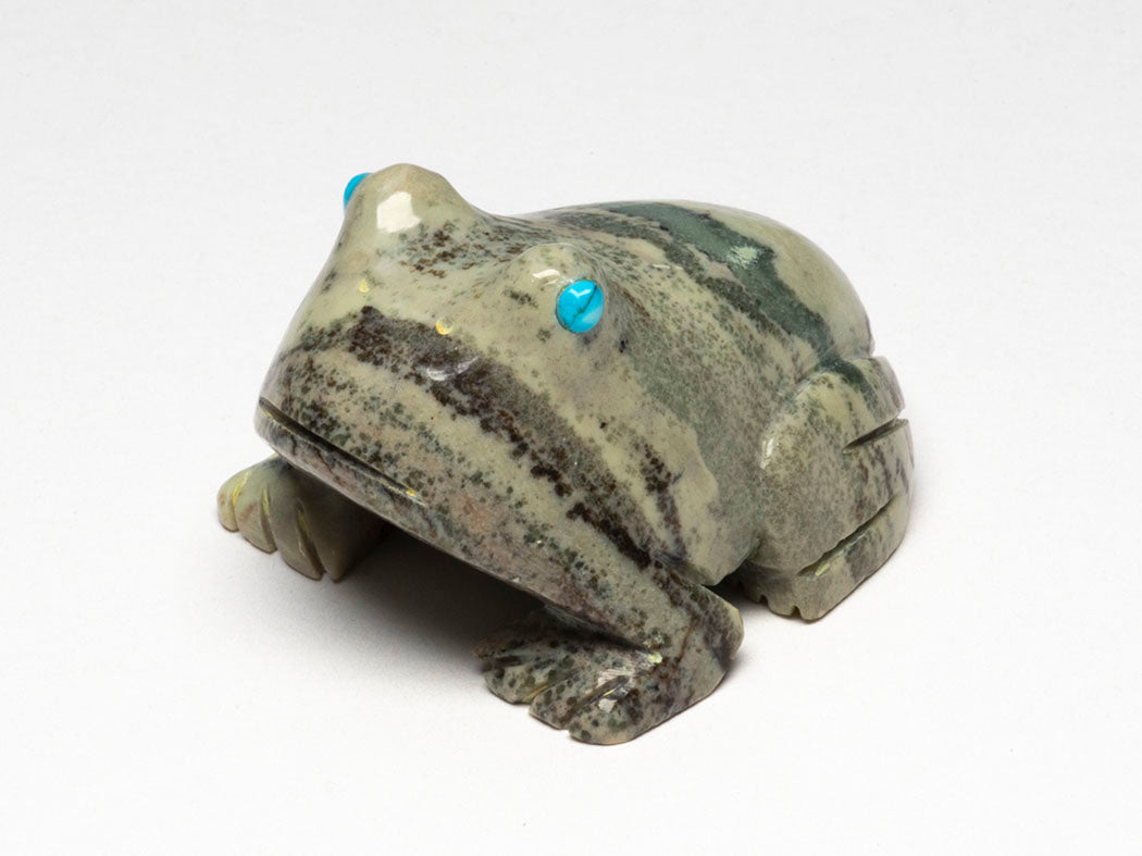 Rain-Bringing Frog