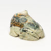 Rocky Stream Frog
