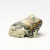 Rocky Stream Frog