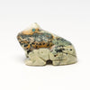 Rocky Stream Frog