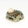 Rocky Stream Frog